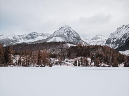 1500 Teile Erwachsenenpuzzle ab 14 Jahren, Berge Schnee 87x57cm 1500 Teile Erwachsenenpuzzle ab 14 Jahren, Berge Schnee 87x57cm von FRUKAT