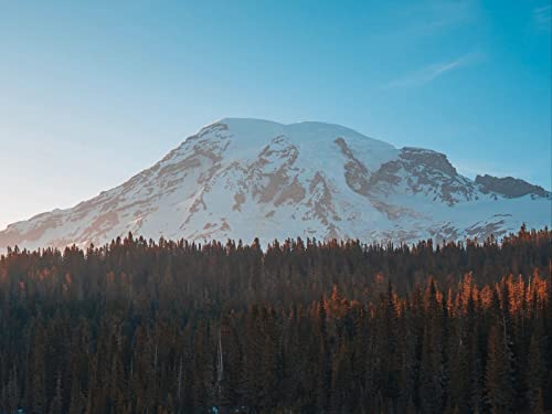 1500 Teile Erwachsenenpuzzle ab 14 Jahren, Berggipfelwälder 87x57cm 1500 Teile Erwachsenenpuzzle ab 14 Jahren, Berggipfelwälder 87x57cm von FRUKAT
