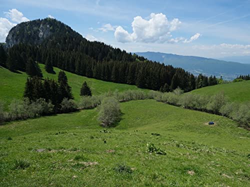 1500 Teile Erwachsenenpuzzle ab 14 Jahren, Berghangrasen 87x57cm 1500 Teile Erwachsenenpuzzle ab 14 Jahren, Berghangrasen 87x57cm von FRUKAT