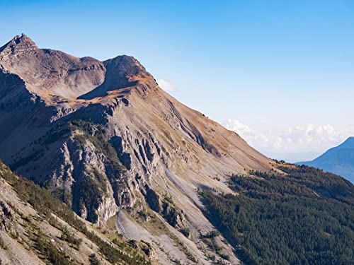 1500 Teile Erwachsenenpuzzle ab 14 Jahren, Berghohe Bäume 87x57cm 1500 Teile Erwachsenenpuzzle ab 14 Jahren, Berghohe Bäume 87x57cm von FRUKAT