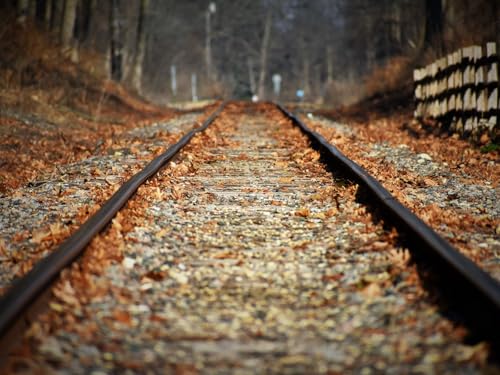 1500 Teile Erwachsenenpuzzle ab 14 Jahren, Eisenbahnblätter Herbst 87x57cm von FRUKAT