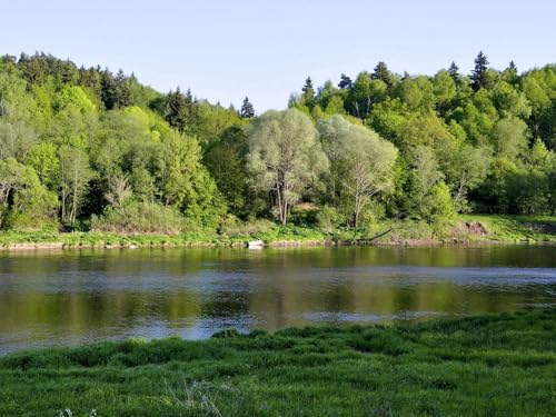 1500 Teile Erwachsenenpuzzle ab 14 Jahren, Flussgrasbäume 87x57cm von FRUKAT