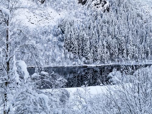 1500 Teile Erwachsenenpuzzle ab 14 Jahren, Flussküstenschnee 87x57cm 1500 Teile Erwachsenenpuzzle ab 14 Jahren, Flussküstenschnee 87x57cm von FRUKAT