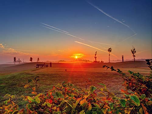 1500 Teile Erwachsenenpuzzle ab 14 Jahren, Grasfeld-Morgendämmerung 87x57cm von FRUKAT