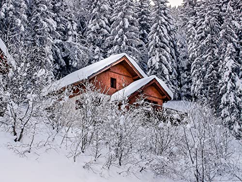1500 Teile Erwachsenenpuzzle ab 14 Jahren, Hausbäume Schnee 87x57cm 1500 Teile Erwachsenenpuzzle ab 14 Jahren, Hausbäume Schnee 87x57cm von FRUKAT