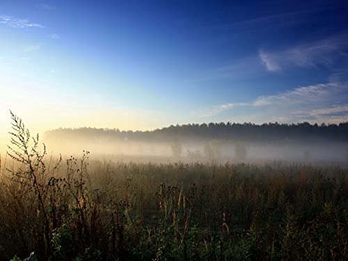 1500 Teile Erwachsenenpuzzle ab 14 Jahren, Haze Veil Herbs 87x57cm von FRUKAT