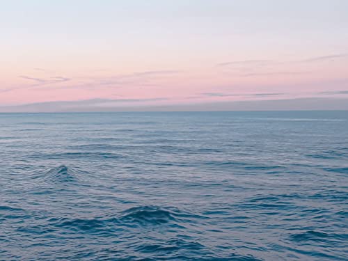 1500 Teile Erwachsenenpuzzle ab 14 Jahren, Horizontwellen verblasst 87x57cm von FRUKAT