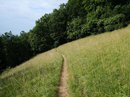 1500 Teile Erwachsenenpuzzle ab 14 Jahren, Hügelfeldpfad 87x57cm 1500 Teile Erwachsenenpuzzle ab 14 Jahren, Hügelfeldpfad 87x57cm von FRUKAT