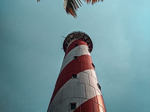 1500 Teile Erwachsenenpuzzle ab 14 Jahren, Leuchtturm Palmenbodenansicht 87x57cm von FRUKAT