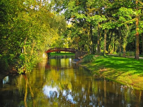 1500 Teile Erwachsenenpuzzle ab 14 Jahren, Polen Baumpark 87x57cm 1500 Teile Erwachsenenpuzzle ab 14 Jahren, Polen Baumpark 87x57cm von FRUKAT