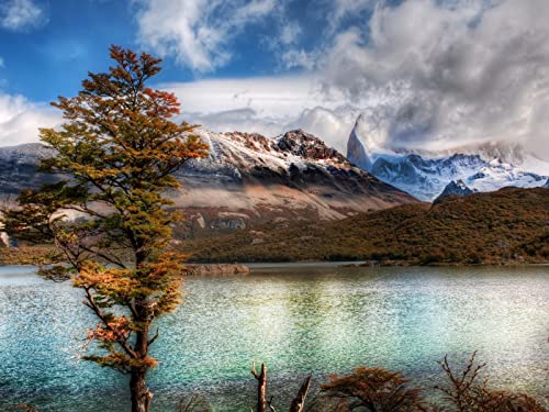 1500 Teile Erwachsenenpuzzle ab 14 Jahren, See Berge Baum 87x57cm von FRUKAT