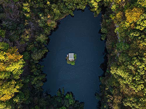 1500 Teile Erwachsenenpuzzle ab 14 Jahren, Seebäume Luftaufnahme 87x57cm 1500 Teile Erwachsenenpuzzle ab 14 Jahren, Seebäume Luftaufnahme 87x57cm von FRUKAT