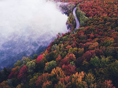 1500 Teile Erwachsenenpuzzle ab 14 Jahren, Straße Herbstnebel 87x57cm von FRUKAT