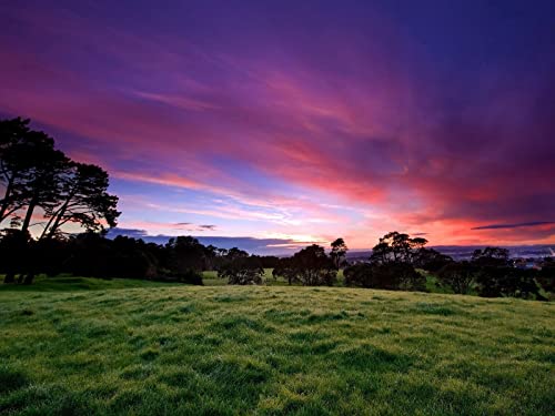 1500 Teile Erwachsenenpuzzle ab 14 Jahren, grünes Gras 87x57cm 1500 Teile Erwachsenenpuzzle ab 14 Jahren, grünes Gras 87x57cm von FRUKAT