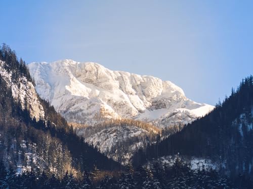1500 Teile Impossible Puzzle,Geschicklichkeitsspiel für Die Ganze Familie - Berge Bäume Schnee 87x57cm 1500 Teile Impossible Puzzle,Geschicklichkeitsspiel für Die Ganze Familie - Berge Bäume Schnee 87x57cm von FRUKAT