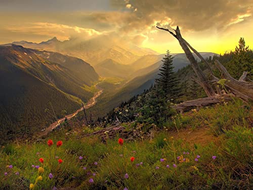 1500 Teile Impossible Puzzle,Geschicklichkeitsspiel für Die Ganze Familie - Berge Fluss Rückgang 87x57cm 1500 Teile Impossible Puzzle,Geschicklichkeitsspiel für Die Ganze Familie - Berge Fluss Rückgang 87x57cm von FRUKAT
