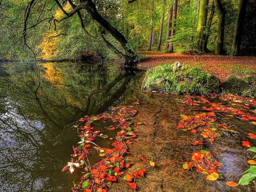 1500 Teile Impossible Puzzle,Geschicklichkeitsspiel für Die Ganze Familie - Flussgrasblätter 87x57cm 1500 Teile Impossible Puzzle,Geschicklichkeitsspiel für Die Ganze Familie - Flussgrasblätter 87x57cm von FRUKAT