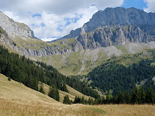 1500 Teile Puzzle,Geschicklichkeitsspiel für Die Ganze Familie, Berg Felsen Bäume 87x57cm von FRUKAT