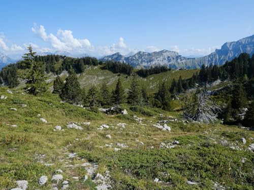1500 Teile Puzzle,Geschicklichkeitsspiel für Die Ganze Familie, Berge Fichten 87x57cm 1500 Teile Puzzle,Geschicklichkeitsspiel für Die Ganze Familie, Berge Fichten 87x57cm von FRUKAT