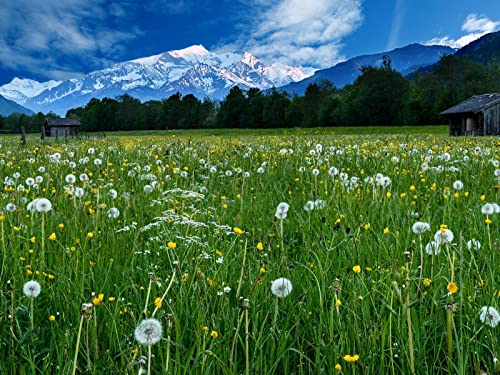 1500 Teile Puzzle,Geschicklichkeitsspiel für Die Ganze Familie, Berge Schneefeld 87x57cm 1500 Teile Puzzle,Geschicklichkeitsspiel für Die Ganze Familie, Berge Schneefeld 87x57cm von FRUKAT