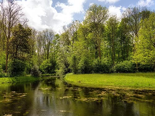 1500 Teile Puzzle,Geschicklichkeitsspiel für Die Ganze Familie, Fluss Holz See 87x57cm 1500 Teile Puzzle,Geschicklichkeitsspiel für Die Ganze Familie, Fluss Holz See 87x57cm von FRUKAT