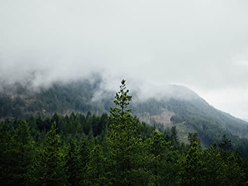 1500 Teile Puzzle,Geschicklichkeitsspiel für Die Ganze Familie, Wälder Berge Nebel 87x57cm 1500 Teile Puzzle,Geschicklichkeitsspiel für Die Ganze Familie, Wälder Berge Nebel 87x57cm von FRUKAT