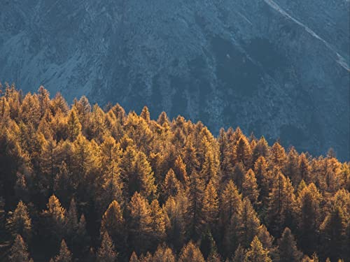 1500 Teile Puzzle,Geschicklichkeitsspiel für Die Ganze Familie - Wälder Berge Bäume 87x57cm 1500 Teile Puzzle,Geschicklichkeitsspiel für Die Ganze Familie - Wälder Berge Bäume 87x57cm von FRUKAT