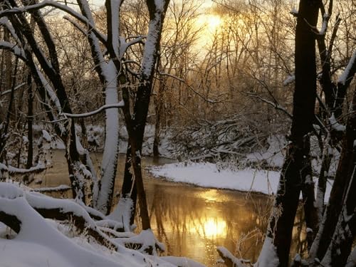 1500 Teile Puzzle,Geschicklichkeitsspiel für die ganze Familie-Fluss, Holz, Winter, Sonne, Reflexion 87x57cm 1500 Teile Puzzle,Geschicklichkeitsspiel für die ganze Familie-Fluss, Holz, Winter, Sonne, Reflexion 87x57cm von FRUKAT