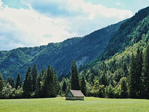 1500 Teile Puzzle,Herausforderndes Puzzle für Erwachsene und Kinder ab 14 Jahren - Hausbäume 87x57cm von FRUKAT