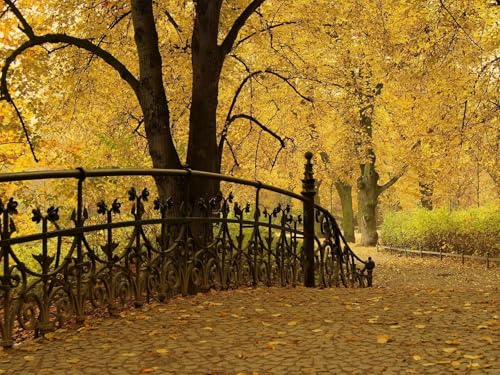 1500 Teile Puzzle,Impossible Puzzle für Kleinkinder Jungen Mädchen 14 Jahre alt-Brücke, Geländer, Park, Herbst 87x57cm 1500 Teile Puzzle,Impossible Puzzle für Kleinkinder Jungen Mädchen 14 Jahre alt-Brücke, Geländer, Park, Herbst 87x57cm von FRUKAT