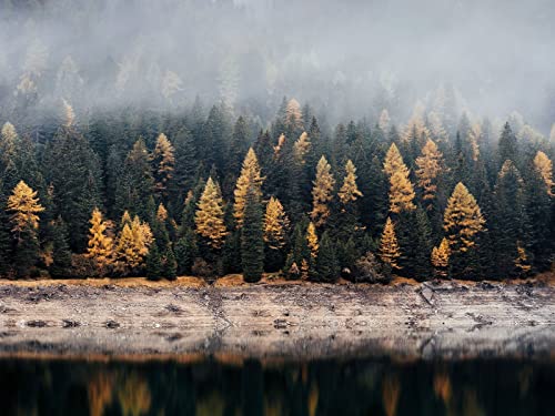 1500 Teile Puzzle,Impossible Puzzle für Kleinkinder Jungen Mädchen 14 Jahre alt - Wälder See Nebel 87x57cm von FRUKAT