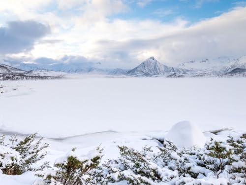 1500 Teile Puzzle,Lernen Pädagogische Puzzle Spielzeug - Berge Schnee 87x57cm von FRUKAT
