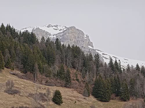1500 Teile Puzzle,Lernen Pädagogische Puzzle Spielzeug - Bergschneehang 87x57cm von FRUKAT