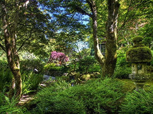 1500 Teile Puzzle,Lernen Pädagogische Puzzle Spielzeug - Gartengrüner Farn 87x57cm 1500 Teile Puzzle,Lernen Pädagogische Puzzle Spielzeug - Gartengrüner Farn 87x57cm von FRUKAT