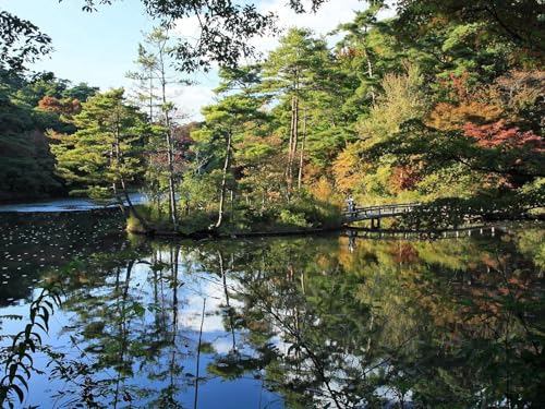 1500 Teile Puzzle,Lernen Pädagogische Puzzle Spielzeug -Herbst, Park, See 87x57cm 1500 Teile Puzzle,Lernen Pädagogische Puzzle Spielzeug -Herbst, Park, See 87x57cm von FRUKAT