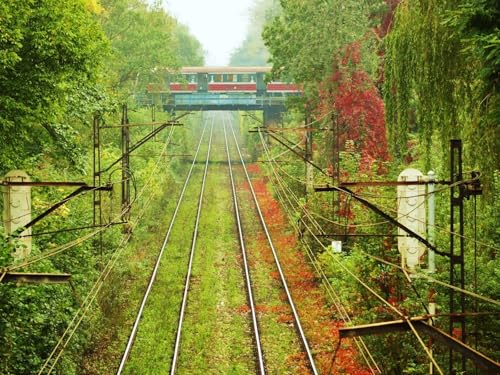 1500 Teile Puzzle,Lernen Pädagogische Puzzle Spielzeug - Schienen Straßenbahn 87x57cm von FRUKAT