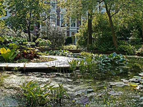 1500 Teile Puzzle,Lernen Pädagogische Puzzle Spielzeug - Seeteich 87x57cm von FRUKAT
