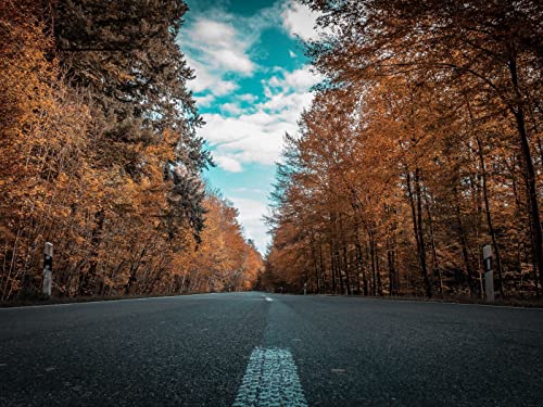 1500 Teile Puzzle,Lernen Pädagogische Puzzle Spielzeug - Straßenherbstbäume 87x57cm von FRUKAT