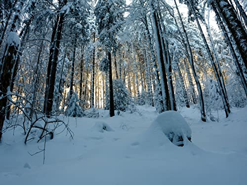 1500 Teile Puzzle,Lernen Pädagogische Puzzle Spielzeug - Wälder Schnee 87x57cm 1500 Teile Puzzle,Lernen Pädagogische Puzzle Spielzeug - Wälder Schnee 87x57cm von FRUKAT