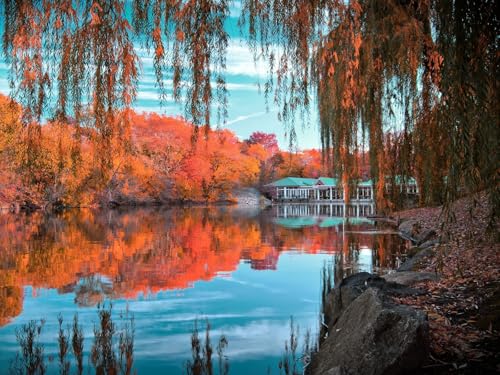 1500 Teile Puzzle,Puzzle für Erwachsene,Puzzle Farbenfrohes-Zentral, Park, Herbst 87x57cm von FRUKAT