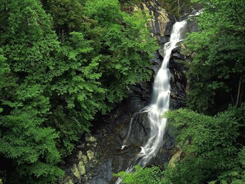 1500 Teile Puzzle,Puzzle für Erwachsene,farbenfrohes Legespiel-Wasserfälle, Holz, Steine, Bäume, Grün, Felsen 87x57cm 1500 Teile Puzzle,Puzzle für Erwachsene,farbenfrohes Legespiel-Wasserfälle, Holz, Steine, Bäume, Grün, Felsen 87x57cm von FRUKAT