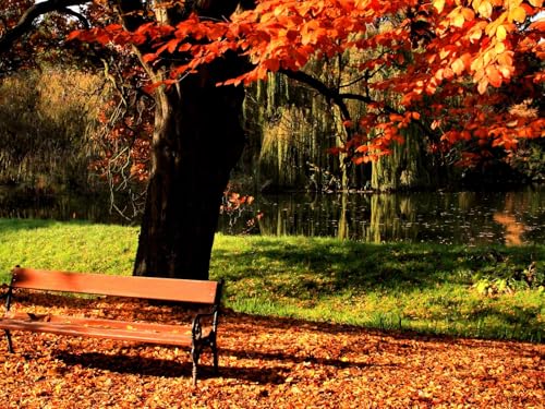 1500 Teile Puzzle für Erwachsene und Kinder ab 14 Jahren-Bank, Park, Baum 87x57cm von FRUKAT