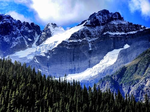 1500 Teile Puzzle für Erwachsene und Kinder ab 14 Jahren - Berge Bäume Fichten 87x57cm von FRUKAT