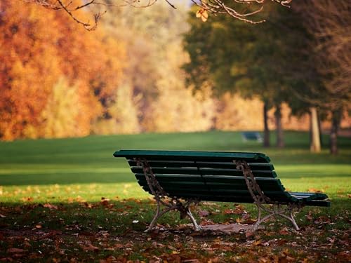 1500 Teile Puzzle für Erwachsene und Kinder ab 14 Jahren Puzzle für Wohnkultur-Bank, Park, Herbst 87x57cm von FRUKAT