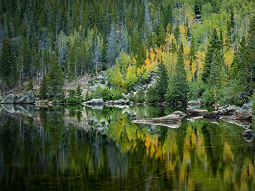 1500 Teile Puzzle für Erwachsene und Kinder ab 14 Jahren - Wälder See Reflexion 87x57cm von FRUKAT