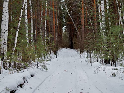 1500 Teile Puzzle für Erwachsene und Kinder ab 14 Jahren - Wälder Straße Schnee 87x57cm von FRUKAT