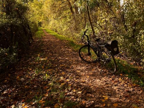 1500 Teile erwachsenenpuzzle ab 14 Jahren, Fahrrad, Weg, Blätter 87x57cm von FRUKAT