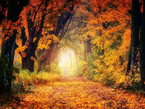 1500 Teile erwachsenenpuzzle ab 14 Jahren, Herbst, Park, Laub 87x57cm von FRUKAT