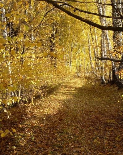 500 Teile,Impossible Puzzle,Geschicklichkeitsspiel für die ganze Familie-Holz,Bäume,Blätter,Herbst 52x38cm von FRUKAT