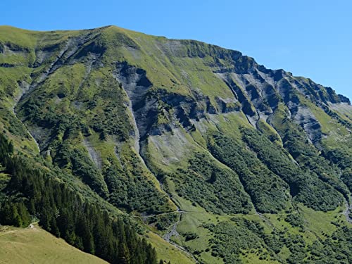 500 Teile Erwachsenenpuzzle ab 14 Jahren, Berg Hügel Bäume 52x38cm 500 Teile Erwachsenenpuzzle ab 14 Jahren, Berg Hügel Bäume 52x38cm von FRUKAT